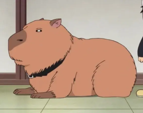 Capybara avatar